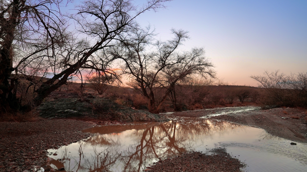 تحذير لـ 5 مناطق.. الأرصاد تعلن تفاصيل موجة أمطار رعدية وغبارية مرتقبة